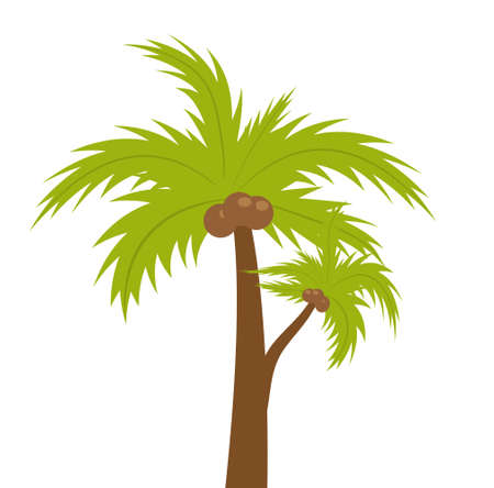 Palm tree. icon flat, cartoon style. Summer, beach concept isolated on white background. Vector illustration, clip-artのイラスト素材