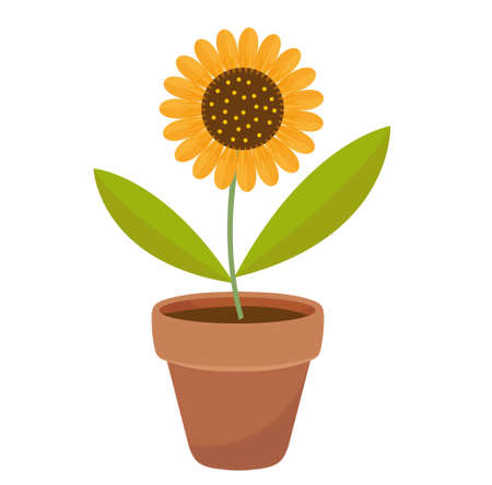 Sunflower in a flowerpot. icon flat, cartoon style. Isolated on white background. Vector illustration, clip-artのイラスト素材