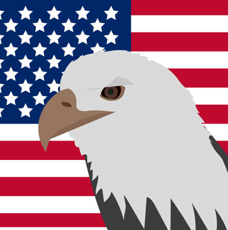Eagle on the background of the American flag icon, flat style. 4th july concept. Vector illustrationのイラスト素材