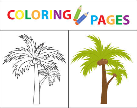 Coloring book page: Palm sketch outline and color version. Coloring for kids, childrens education vector illustrationのイラスト素材