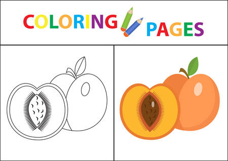 Coloring book page. Sketch outline and color version. Coloring for kids. Childrens education. Vector illustrationのイラスト素材