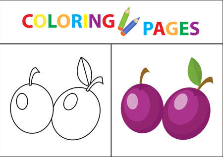 Coloring book page sketch outline and color version. Coloring for kids, childrens education vector illustrationのイラスト素材