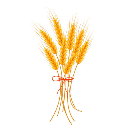 Wheat icon flat style. Isolated on white background. Vector illustrationのイラスト素材