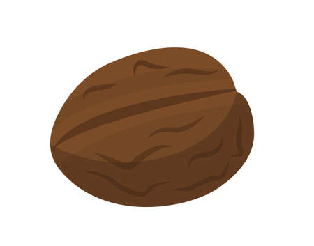 Walnut, nuts icon flat style. Isolated on white background. Vector illustrationのイラスト素材