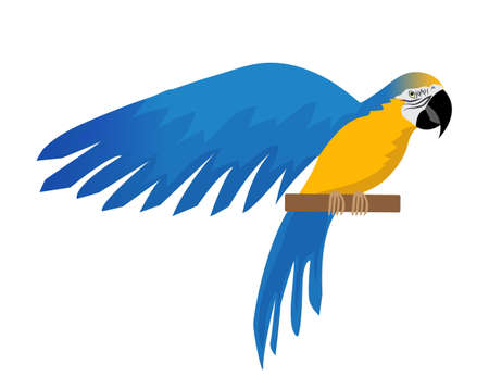 Parrot Ara ararauna flat icon, cartoon style. Blue-and-yellow macaw character. Colored bird flies. Isolated on white background. Vector illustrationのイラスト素材