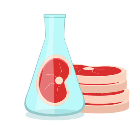 Synthetic meat is grown in the laboratory from stem cells. Artificial meat product, food technology of the future. Vector illustration.のイラスト素材