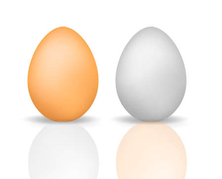 Eggs realistic 3d style with reflection. Eggshell chicken isolated on a white background. Vector illustration.のイラスト素材