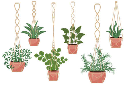 Flowers in a pot macrame pots, modern Scandinavian style, interior decor. Hanging plants set. Vector illustration.のイラスト素材