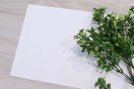mockup card with plants. invitation card with environment and details Mockup with postcard and flowers on white background.の写真素材