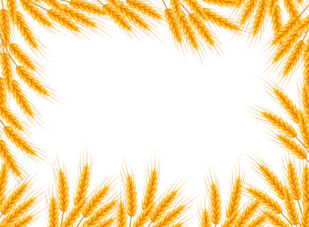 Wheat frame with place for text. Template for your design. Vector illustration.のイラスト素材
