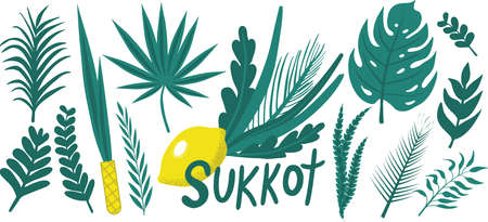 Happy Sukkot plants hand drawing set. Collection with etrog, lulav, Arava, Hadas. Isolated on white...