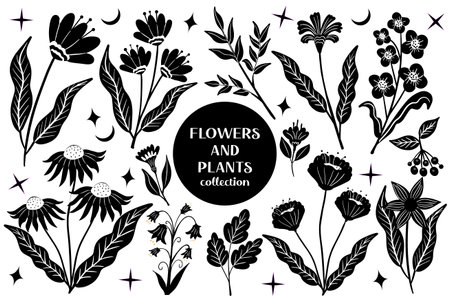 Set of black abstract flowers and leaves.botanical linocut plant and organic elements, herbs print. vector illustration.のイラスト素材