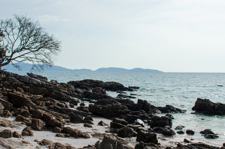 Beautiful views on the island in Phuket.の写真素材