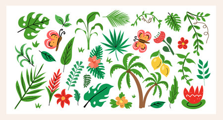 Tropical plant set hand draw flat style with jungle leaves, colorful flowers, butterflies, fruits. Perfect for summer designs, patterns, stickers and exotic decor. Vector illustrationのイラスト素材