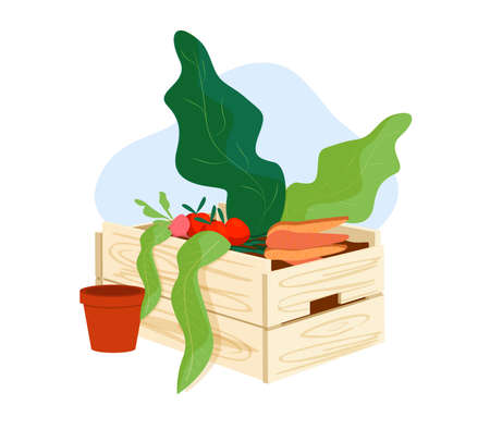 Gardening, fruit, vegetable crate illustrations.のイラスト素材