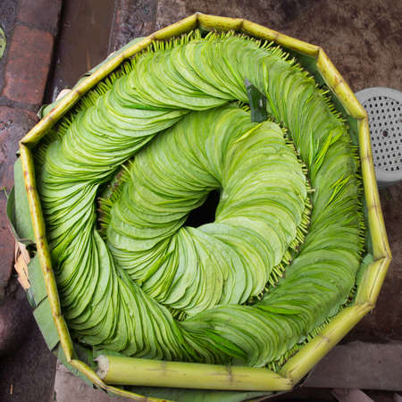 Wildbetal Leafbushの写真素材