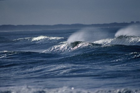 waves and surfing
