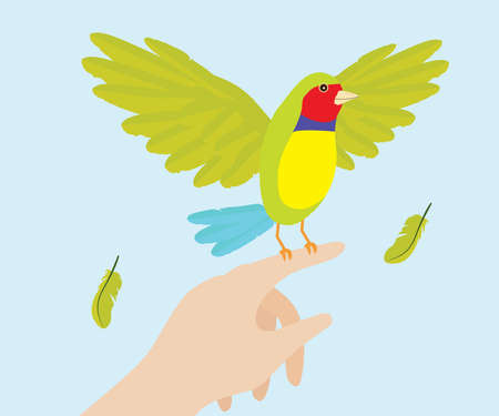 Lady Gouldian Finch Bird On Handのイラスト素材
