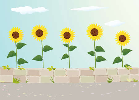 Sunflower View Near Roadsideのイラスト素材