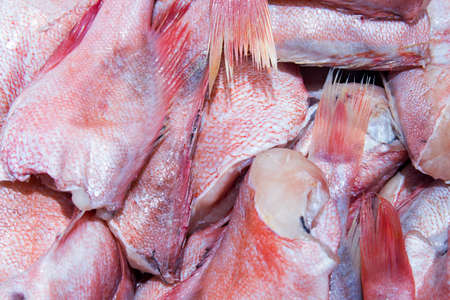 Closeup of heads of two shiny fresh ruby snapper fish on ice at a fish market. Headless