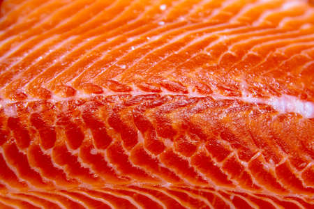 slice of fresh salmon on ice.