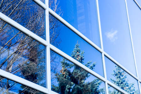 modern building reflects nature and blue sky