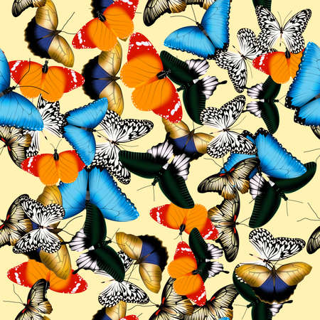 Realistic butterfly pattern. Seamless vector illustration of multicolored butterflies with spread wingsの写真素材