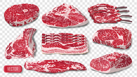 Set of realistic raw meat isolated. Cow pork steak grill food beef vector illustrationのイラスト素材