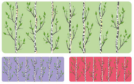 Abstract Birch Stems Backgroundのイラスト素材