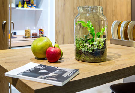 Plants in a vase like a jarの写真素材