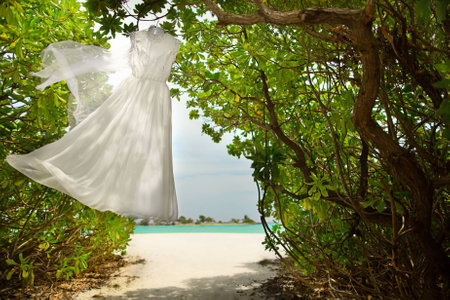Wedding dress hanging in the green in the Maldivesの写真素材