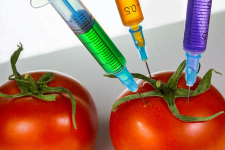 Three syringe with vaccine needle stuck into a juicy red tomato