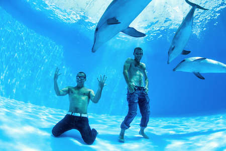 two men and three dolphin fooling around on the bottom of the dolphinariumの写真素材
