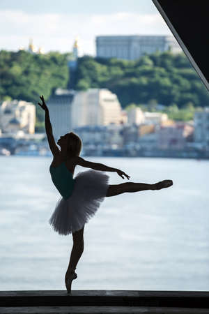 Silhouette of graceful ballerina in white tutu on a background of green slopes of the Dnieper Kiev....
