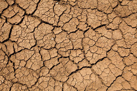 Dried Ground Texture with hight contras of the sunlight.の写真素材
