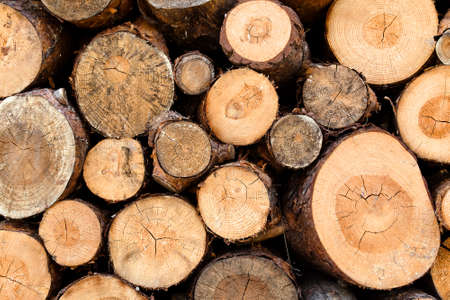 Woodstack background. A lot of pieces firewoods.の写真素材