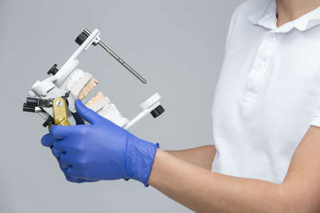 Doctor holding the parallelometer with dental mould in his hands. He wears the white t-shirt and blue latex gloves. Studio photo on the gray background. Horizontal.の写真素材