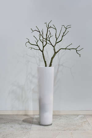 White vase with plant without leaves stands on the floor on the white wall background. Plant drops shadows on the wall. Vertical.の写真素材
