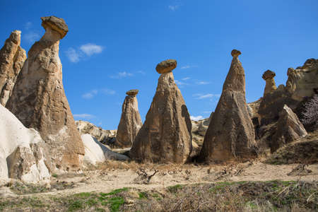 Rock formation on the blue sky with clouds background. In the front there are several naked and blooming trees and grass.の写真素材