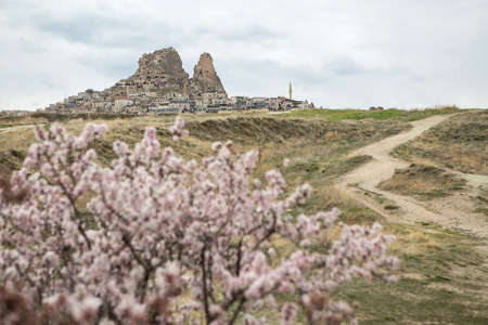 Soft blooming fruit tree on the background of the old town and the cloudy sky. Town stands around the houses carved into rock.の写真素材