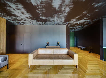 Hall in a modern style with dark walls and a parquet on the floor. There are sofas, a wooden rack with drawers and design lamps, doors, a bench, a plant in the pot, glowing lamps on the ceiling.の写真素材