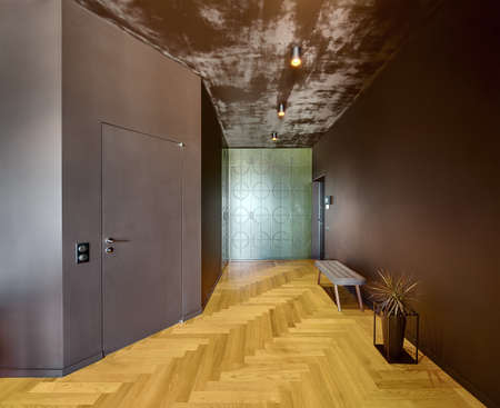 Hall in modern style with dark walls, texture ceiling with glowing lamps, parquet on the floor. On the left there is door. At the back there is texture wardrobe. On the right there is bench and plant.の写真素材