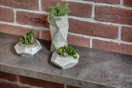 Close-up photo of three decorative pots with green plants on the textured rack on the brick wall background. Horizontal.の写真素材