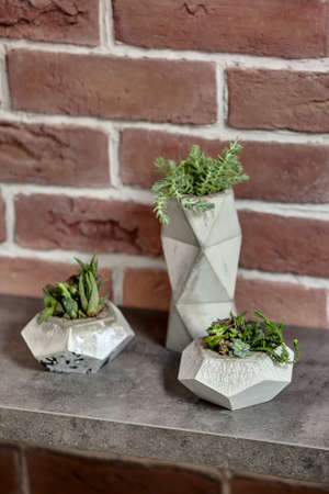 Beautiful close-up photo of three decorative pots with green plants on the textured rack on the brick wall background. Vertical.の写真素材