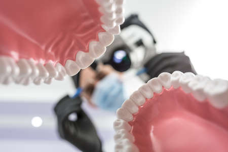 Tooth jaw models on the blurry background of a doctor. Close-up photo. Horizontal