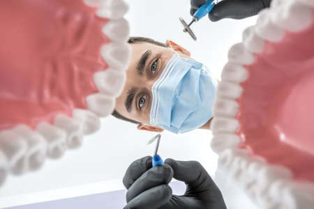 Caring dentist looks through the tooth jaw models. Man holds a dental bur and a mirror. He wears black gloves and a blue medical mask. View from the bottom. Horizontal.の写真素材