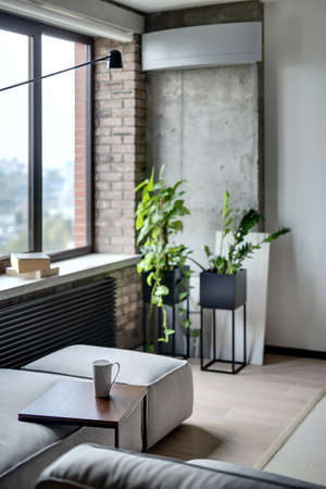 Room in a loft style with brick and concrete walls. There is a sofa with small table with a cup on it, plants in the pots, conditioner. On the floor there is a parquet and carpet. Wide aperture photo.の写真素材