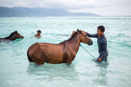 Men with horses in seaのeditorial素材