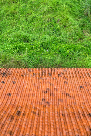 Roof tiles and green grassの写真素材