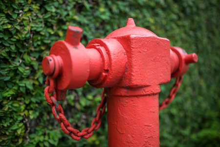 Macro photo of fire hydrantの写真素材
